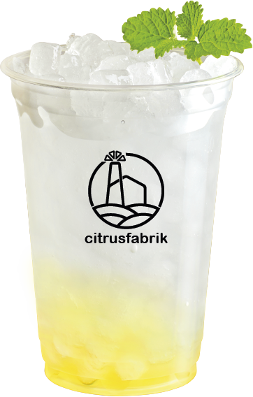 Fizzy Yuzu-Limonade 340 ml